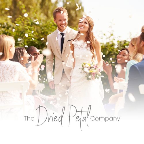 The Dried Petal Company